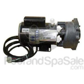 Pump, 4.5 horsepower 2 Speed 48 Frame Value 230v