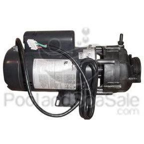 4 horsepower, 2 speed Sta-Rite / Pentair Pump